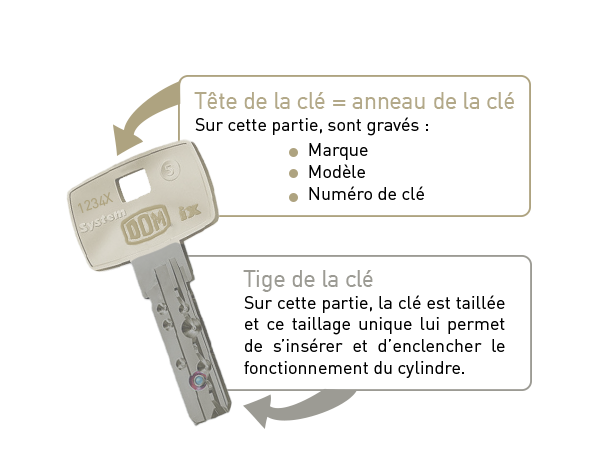 Structure de clé : anneau et tige de la clé. Schéma
